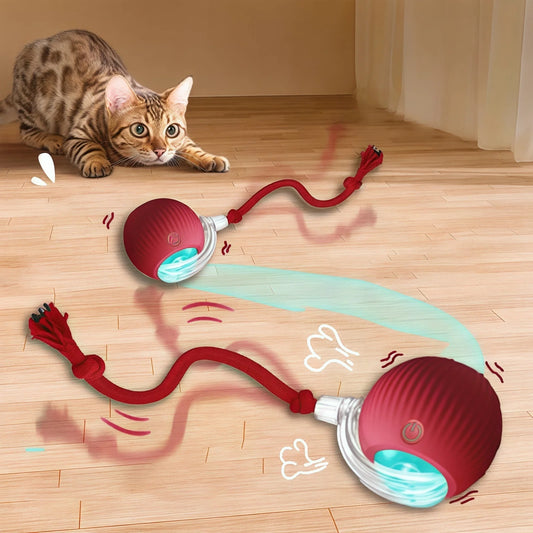 Automatic Cat & Dog Ball
