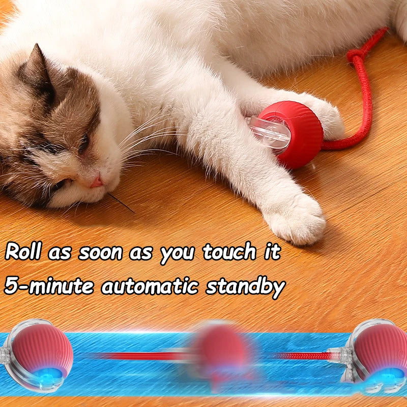 Automatic Cat & Dog Ball
