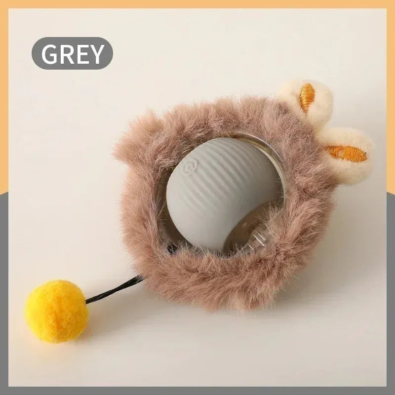 Automatic Cat & Dog Ball