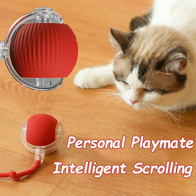 Automatic Cat & Dog Ball